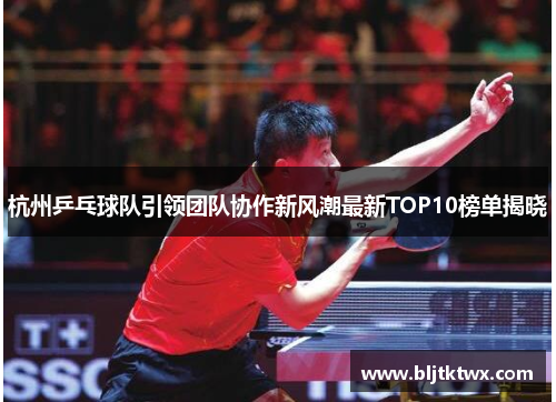 杭州乒乓球队引领团队协作新风潮最新TOP10榜单揭晓